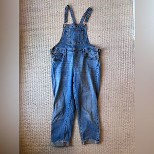 Universal Thread Jean Overalls